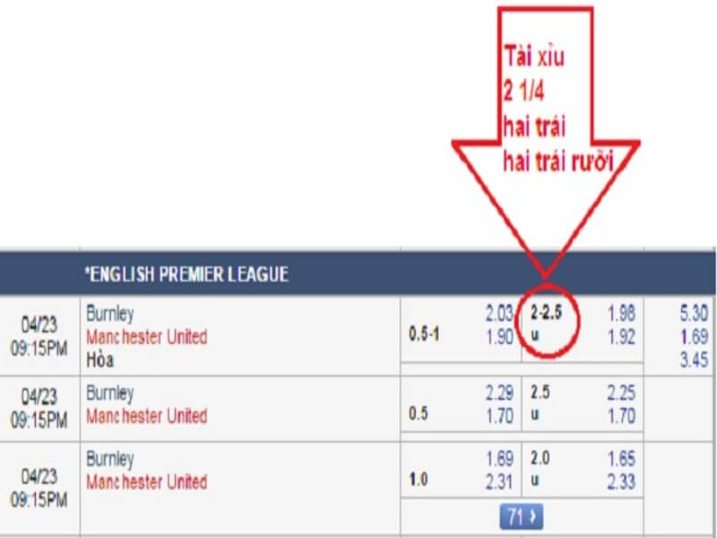 Bật mí tài xỉu 2 1/4 là sao và cách đọc kèo đúng nhất 1 Keo ca do tai xiu 2 1 4 con duoc biet den la keo hai trai hay hai trai ruoi 1 - tài xỉu 2 1/4 là sao