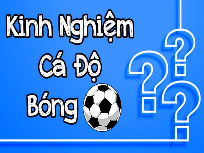 Khái niệm kèo tài xỉu 2 3/4 là gì? Cách chơi như thế nào cho đúng? 5 Kinh nghiem cho anh em ca do la nen biet lua chon thoi diem dat keo 5 - kèo tài xỉu 2 3/4