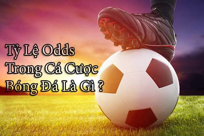 Cách tính Fair Odds và 3 kiến thức anh em cần biết về Odds 1 Odds trong bóng đá là mức chi phí dùng để thanh toán cho người thắng